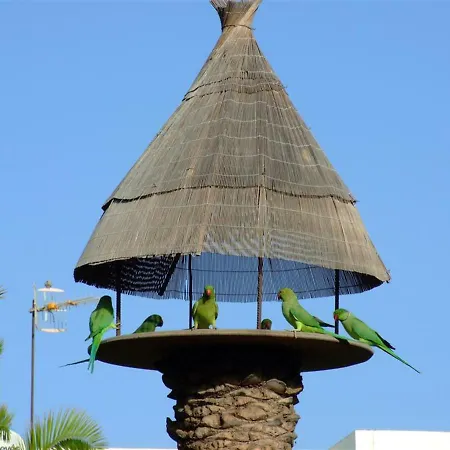 La Kasita In Primavera Lägenhet Costa Del Silencio